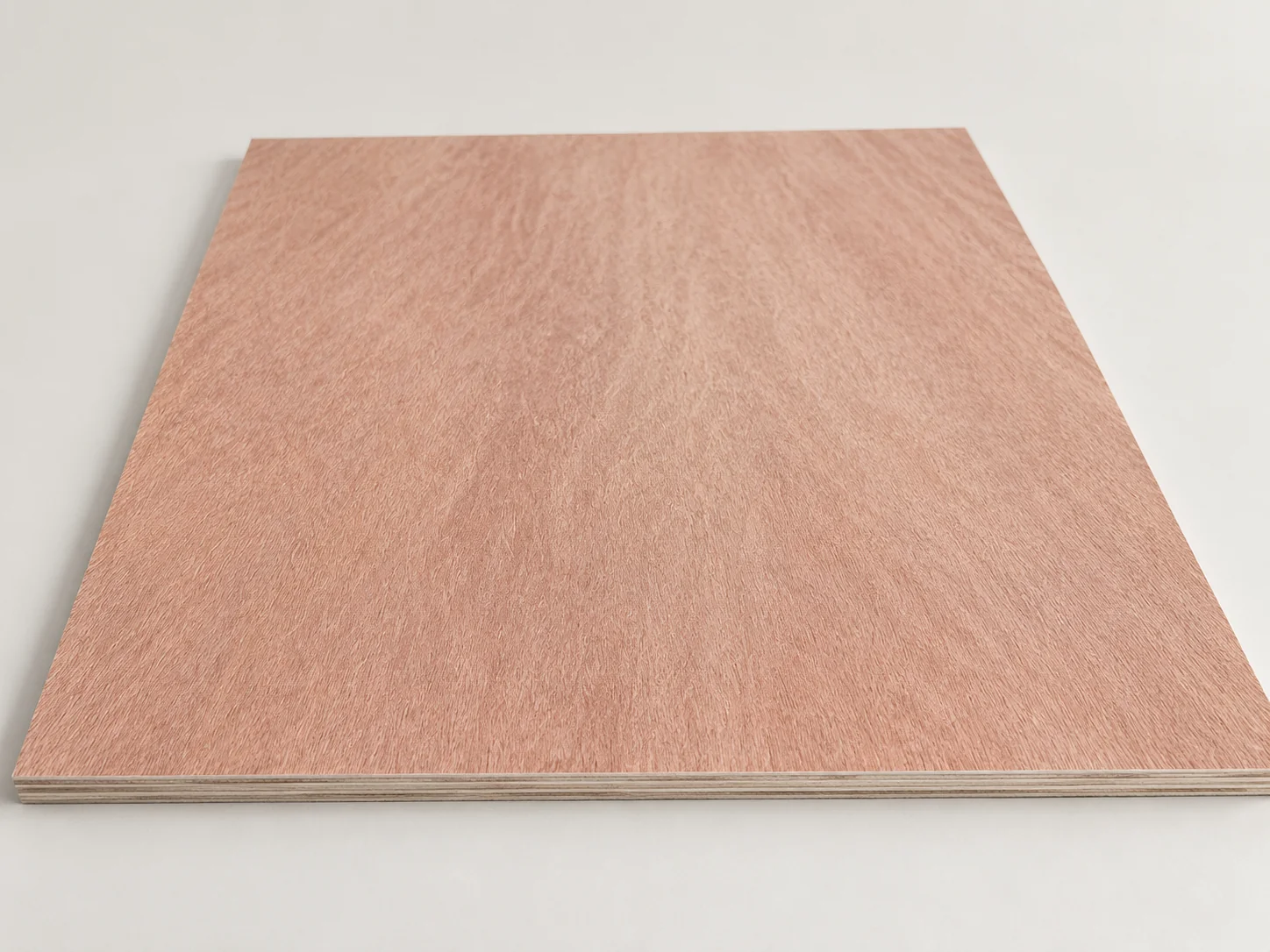One full bintangor-faced plywood panel with a warm reddish-brown face and fine grain on a pale surface