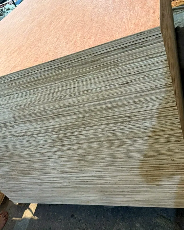 Corner of a bintangor-faced plywood stack: the reddish face above a thick band of layered sheet edges