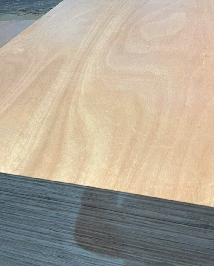 Close view of an okoume plywood face with pale pink-beige flame figure and the layered edge below
